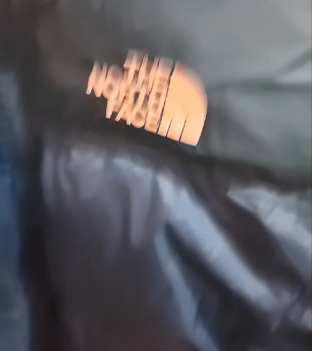 The North Face Mens Blue Coral Retro Nuptse  Jacket